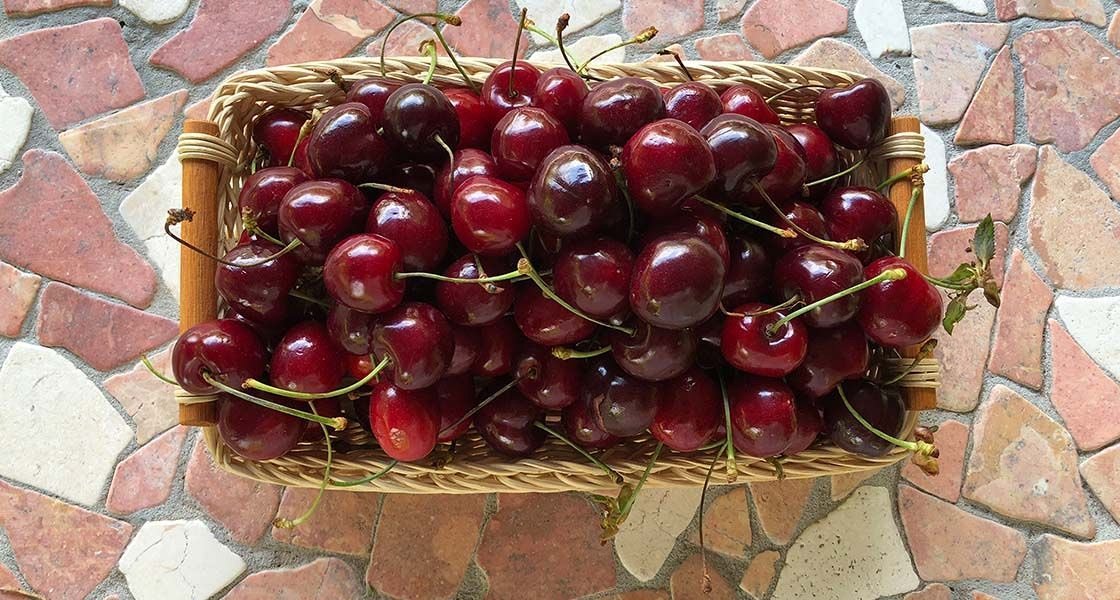 Češnje niso le izjemno okusne, v njih se skrivajo številni zdravju prijazni atributi