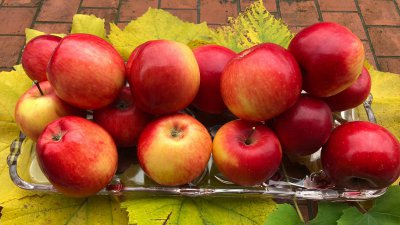 Jabolko, »rdeče zlato« – okusna in sočna, dokazano priporočljiva pot do boljšega zdravja 