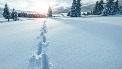 Kako z gibanjem do boljšega zdravja in hitrejšega okrevanja?