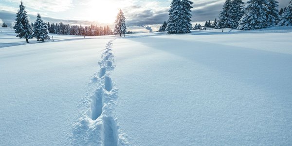 Kako z gibanjem do boljšega zdravja in hitrejšega okrevanja?