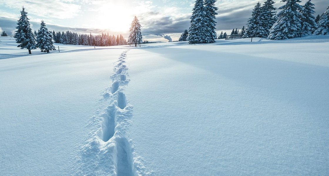 Kako z gibanjem do boljšega zdravja in hitrejšega okrevanja?