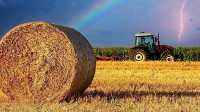 Na Gorenjskem (območje Sorškega polja) večja pojavnost tularemije oziroma zajčje mrzlice zaradi prenosa okužbe med intenzivnim prašenjem pri košnji in spravilu sena