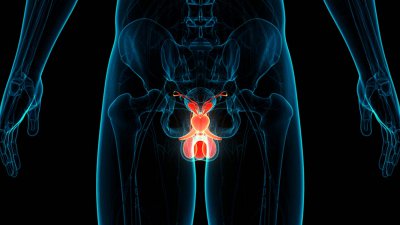 »Po osebni izkušnji s prebolevanjem in premagovanjem raka prostate slehernemu moškemu priporočam, naj pravočasno preveri vrednost za prostato specifičnega antigena (PSA)!«