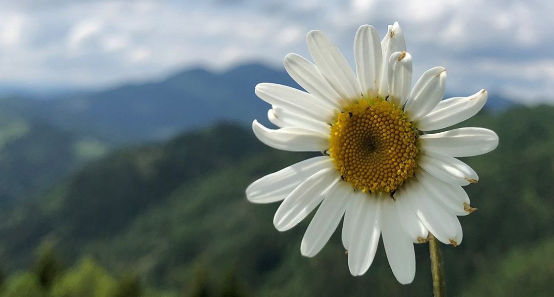 Poslovila se je Mojca Senčar, velika zagovornica bolnikov, duša ozaveščanja o boju proti raku, zaslužna za izjemne premike na tem področju