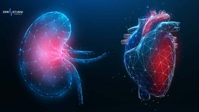 Srce in ledvica sta skorajda kot enojajčna dvojčka, kajti če začne pešati en organ, se to prejkoslej odrazi na drugem – z odpravo razvad pa lahko zaščitimo delovanje obeh organov