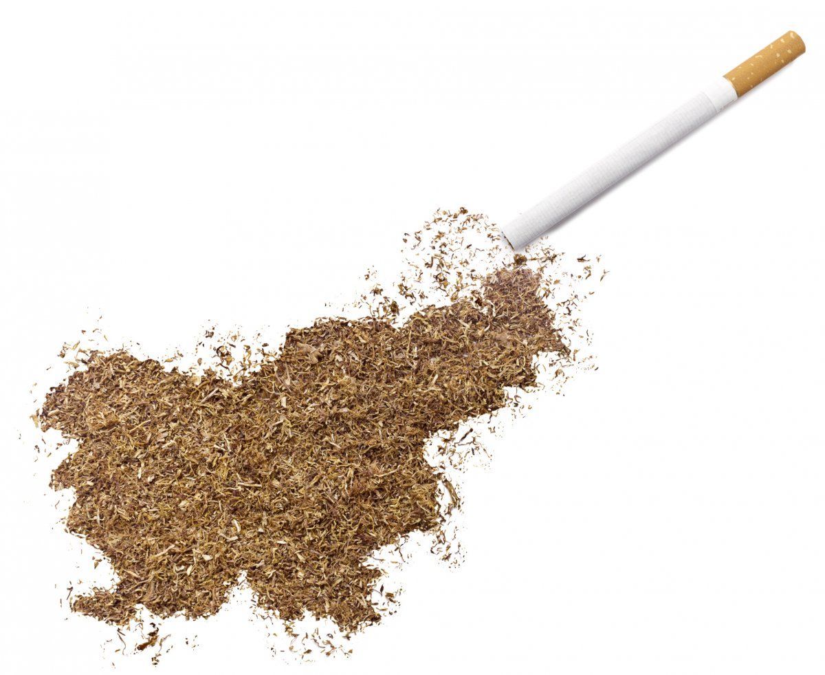 Slovenija v primežu tobačne industrije