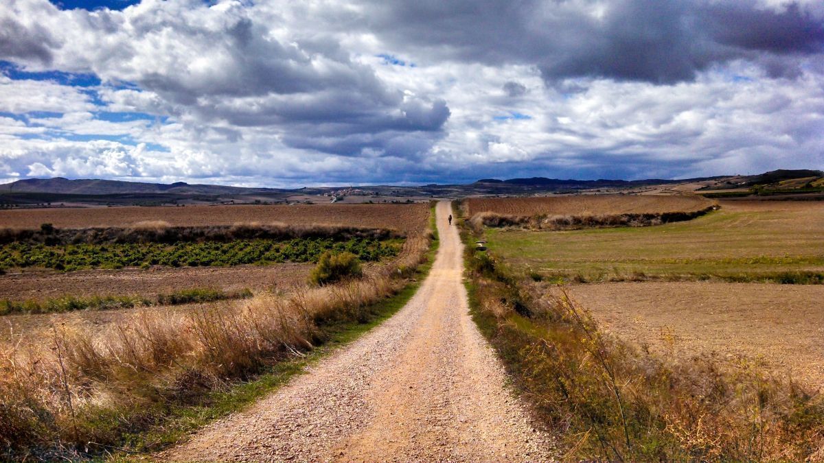 Camino