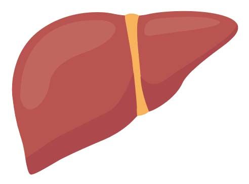 Bi Bilo Mogoce Da Ste Se Pred 20 Leti Okuzili S Hepatitisom C Ne