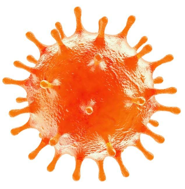 novi koronavirus