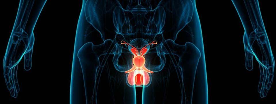 rak prostate