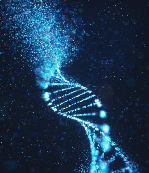 fabryjeva bolezen - genetika