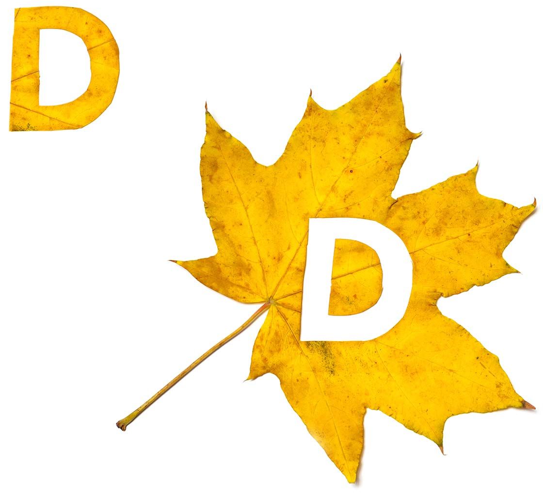 D vitamin_preventiva