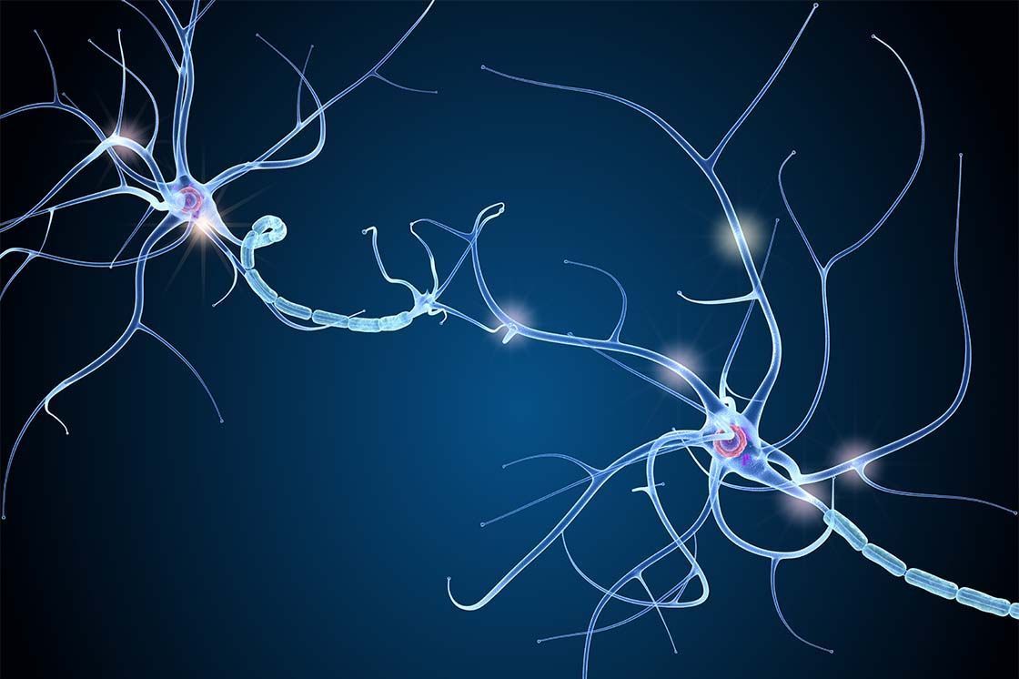 parkinsonova bolezen celostna multidisciplinarna obravnava